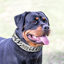 Load image into Gallery viewer, Personalized Pet Chain Dog Collar