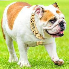 Load image into Gallery viewer, Personalized Pet Chain Dog Collar