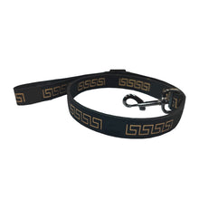 Load image into Gallery viewer, Versa Luxury Dog Leash, Collar And Harness