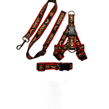 Load image into Gallery viewer, Versa Luxury Dog Leash, Collar And Harness