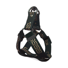 Load image into Gallery viewer, Versa Luxury Dog Leash, Collar And Harness
