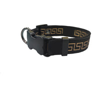 Load image into Gallery viewer, Versa Luxury Dog Leash, Collar And Harness