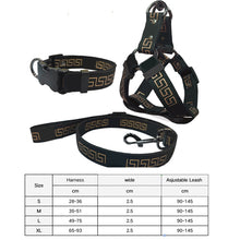 Load image into Gallery viewer, Versa Luxury Dog Leash, Collar And Harness