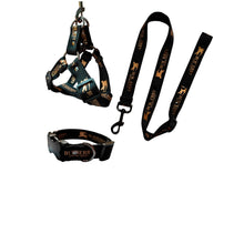 Load image into Gallery viewer, Versa Luxury Dog Leash, Collar And Harness