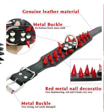 Load image into Gallery viewer, Spiked Studded Dog Collar
