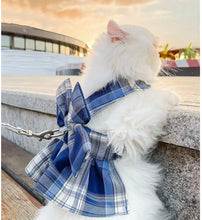 Load image into Gallery viewer, Cute Mary Poppin Leash Pet Dresses

