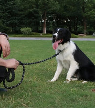 Load image into Gallery viewer, Strong Pet Leash
