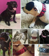 Load image into Gallery viewer, Spiked Studded Dog Collar
