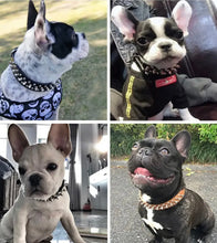 Load image into Gallery viewer, Leather Spiked Dog Collar
