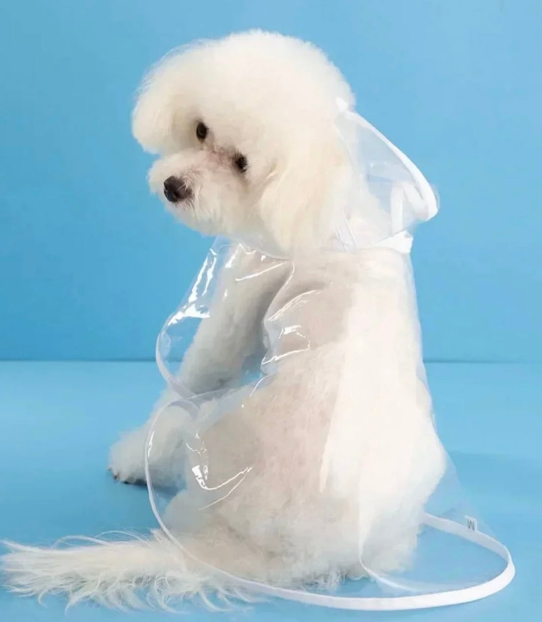 Pet Dog Raincoat