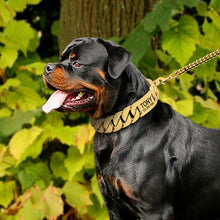 Load image into Gallery viewer, Personalized Pet Chain Dog Collar
