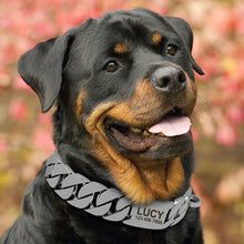 Load image into Gallery viewer, Personalized Pet Chain Dog Collar
