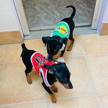 Load image into Gallery viewer, Sport Dog Basketball Jersey
