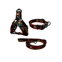 Load image into Gallery viewer, Versa Luxury Dog Leash, Collar And Harness
