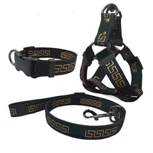 Load image into Gallery viewer, Versa Luxury Dog Leash, Collar And Harness
