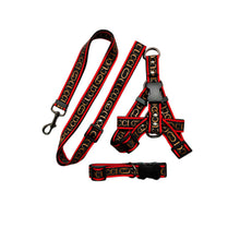 Load image into Gallery viewer, Versa Luxury Dog Leash, Collar And Harness
