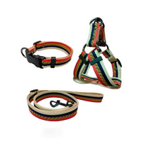 Load image into Gallery viewer, Versa Luxury Dog Leash, Collar And Harness
