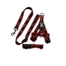 Load image into Gallery viewer, Versa Luxury Dog Leash, Collar And Harness
