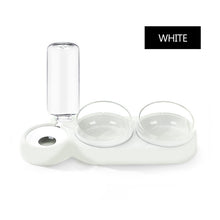 Load image into Gallery viewer, Pet Double Bowls ,Water Feeder With Auto Water Dispenser
