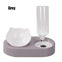 Load image into Gallery viewer, Pet Double Bowls ,Water Feeder With Auto Water Dispenser
